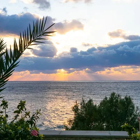 Popillon 1 * Μυρτιές