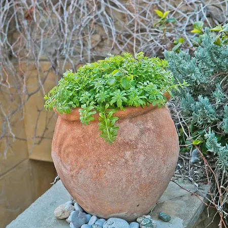 Βίλα Popillon 1 *