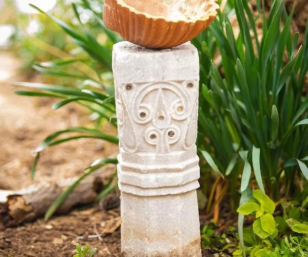 Popillon 1 * Myrties